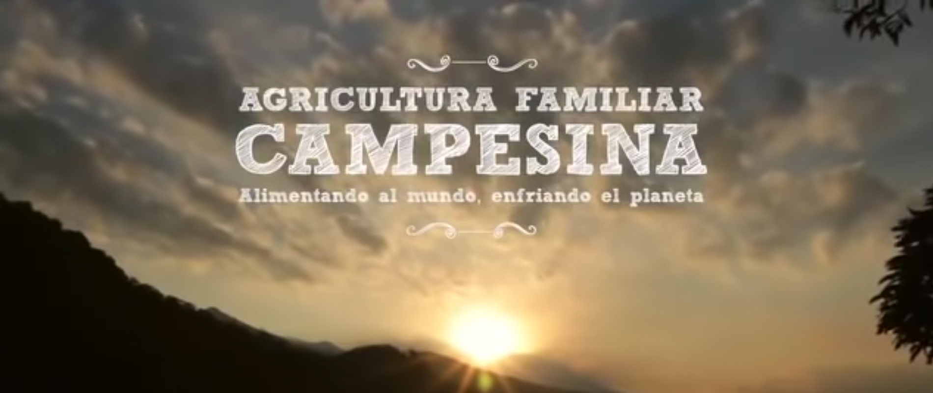 Agricultura Familiar Campesina alimentado al mundo, enfriando el planeta